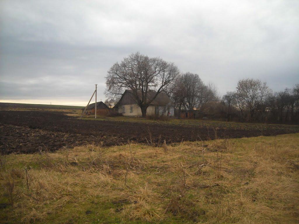 Копичинці з panoramio.com - Копычинцы