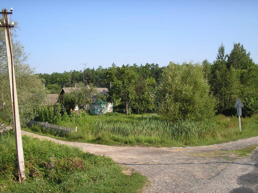 Рихальське з panoramio.com - Рыхальское