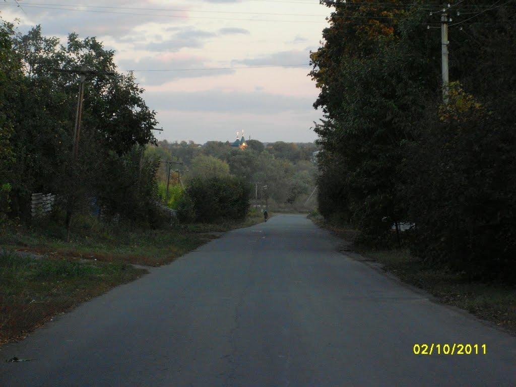 Соколівка з panoramio.com - Соколівка