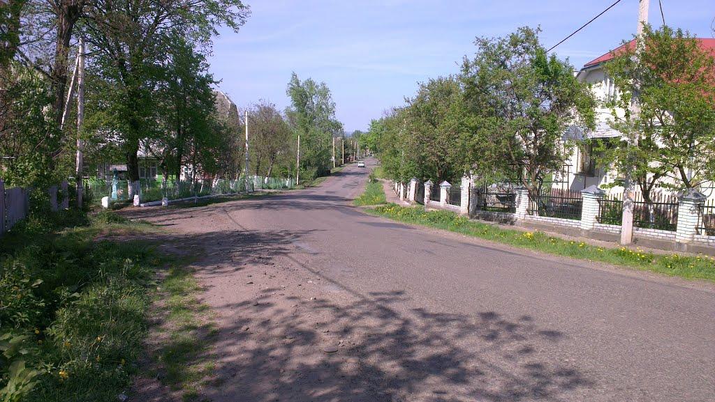 Новиця з panoramio.com - Новиця