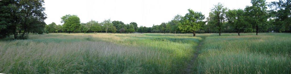 Новогродівка з panoramio.com - Новогродівка