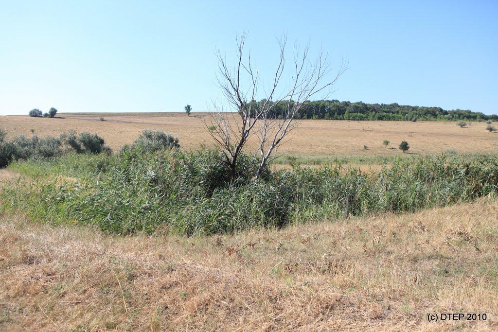 Новобахмутівка з panoramio.com - Новобахмутівка