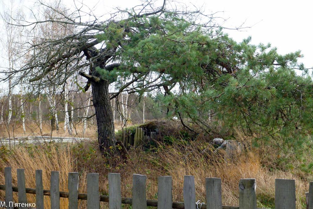 Бабка з panoramio.com - Бабка