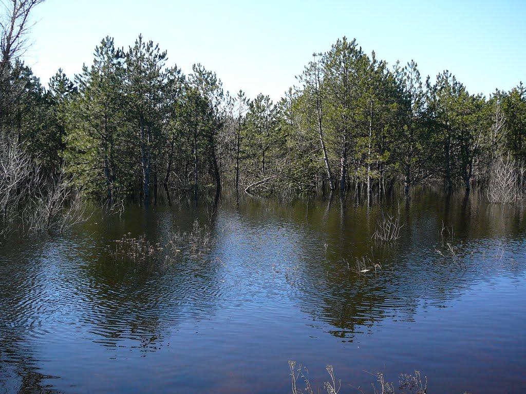 Піщане з panoramio.com - Піщане