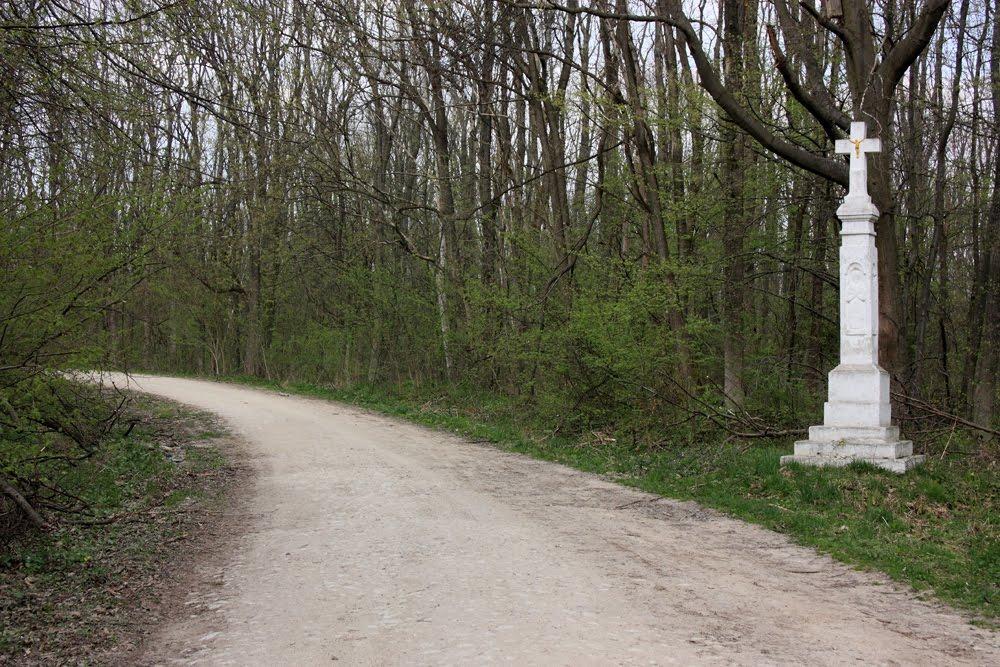 Літовище з panoramio.com - Літовище