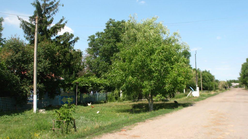 Флоринське з panoramio.com - Florynske