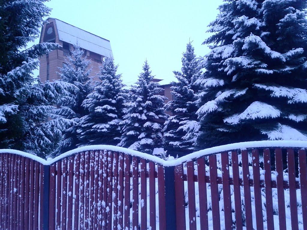 Почапинці з panoramio.com - Почапинці