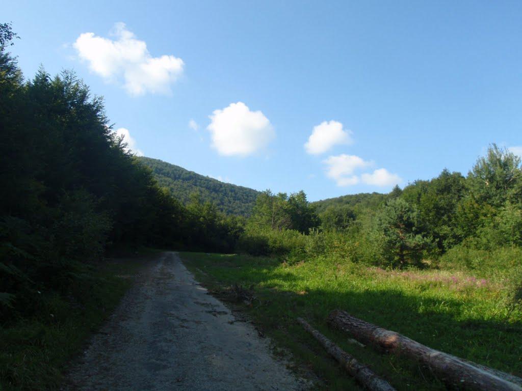 Княгиня з panoramio.com - Княгиня