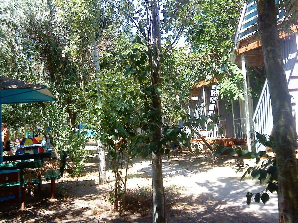 Стерегуще з panoramio.com - Стерегущее