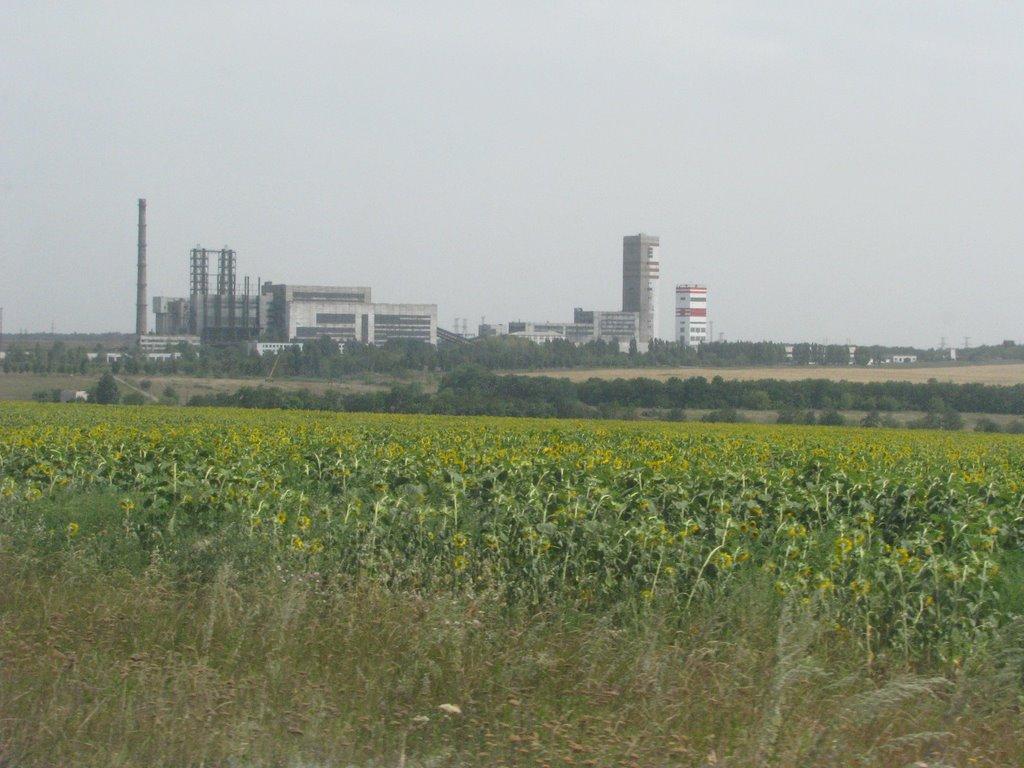 Ананьївка з panoramio.com - Ананьевка