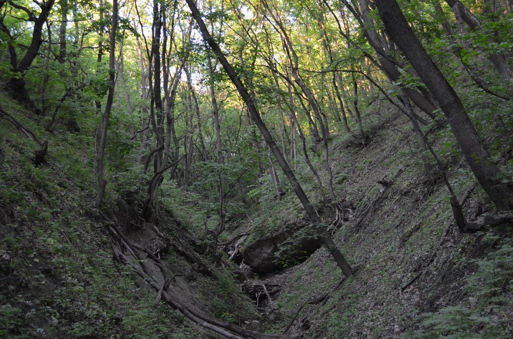 Пахалівка з panoramio.com - Пахалевка