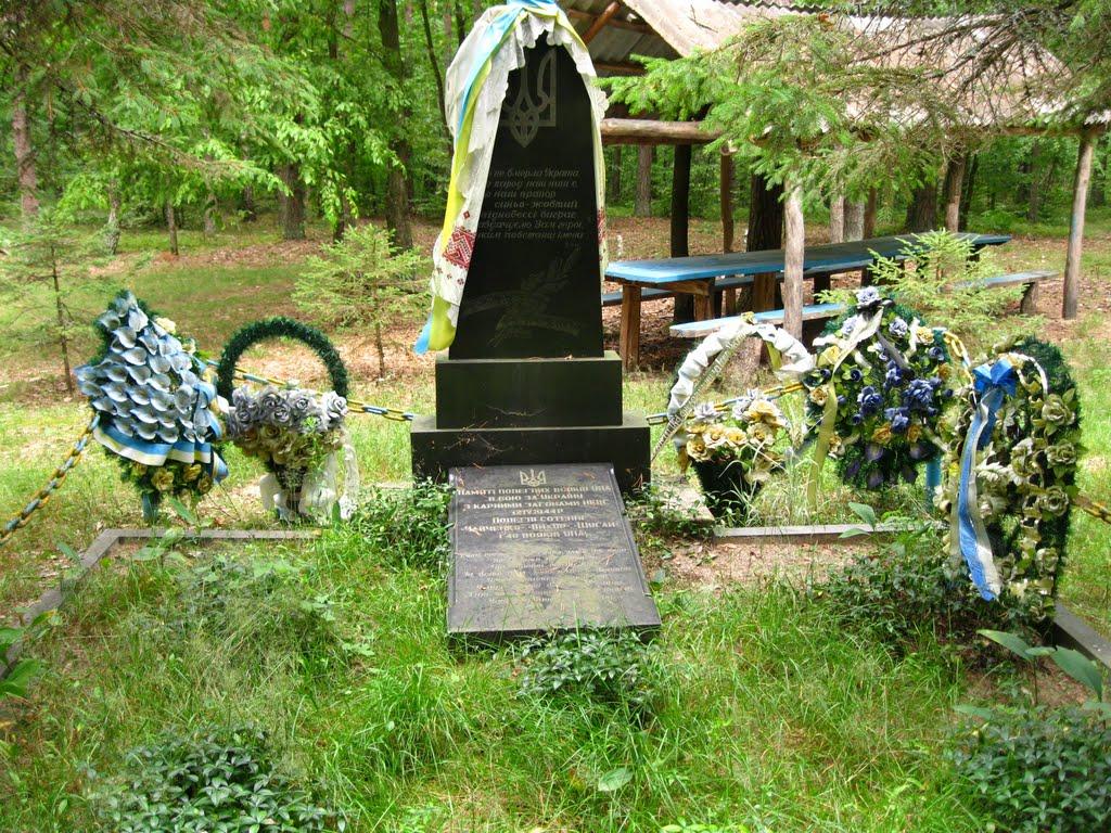 Корчин з panoramio.com - Корчин