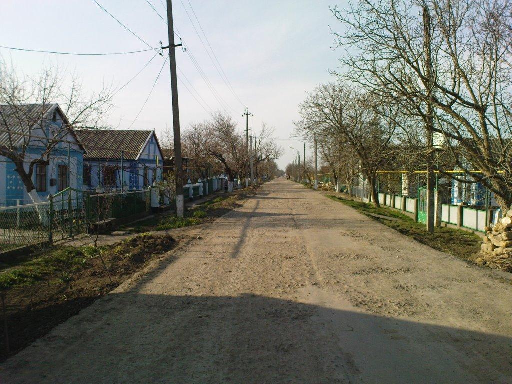 Петрівка з panoramio.com - Петровка