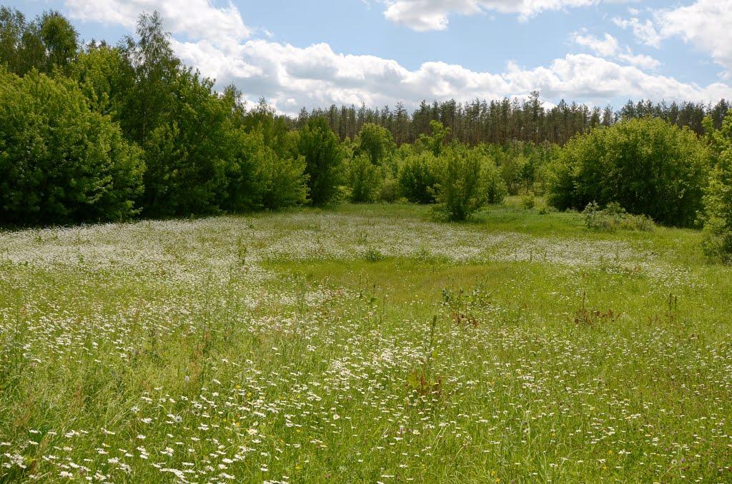 Марківка з panoramio.com - Markivka