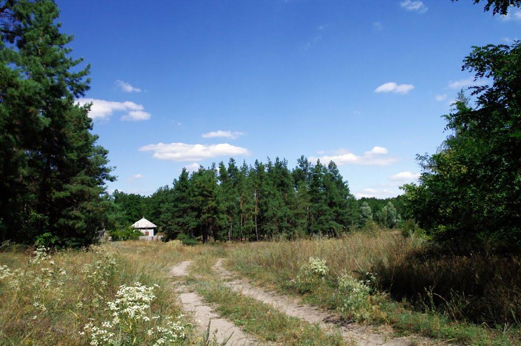 Підозірка з panoramio.com - Підозірка