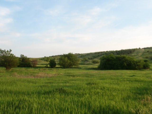 Олександрівка з panoramio.com - Олександрівка