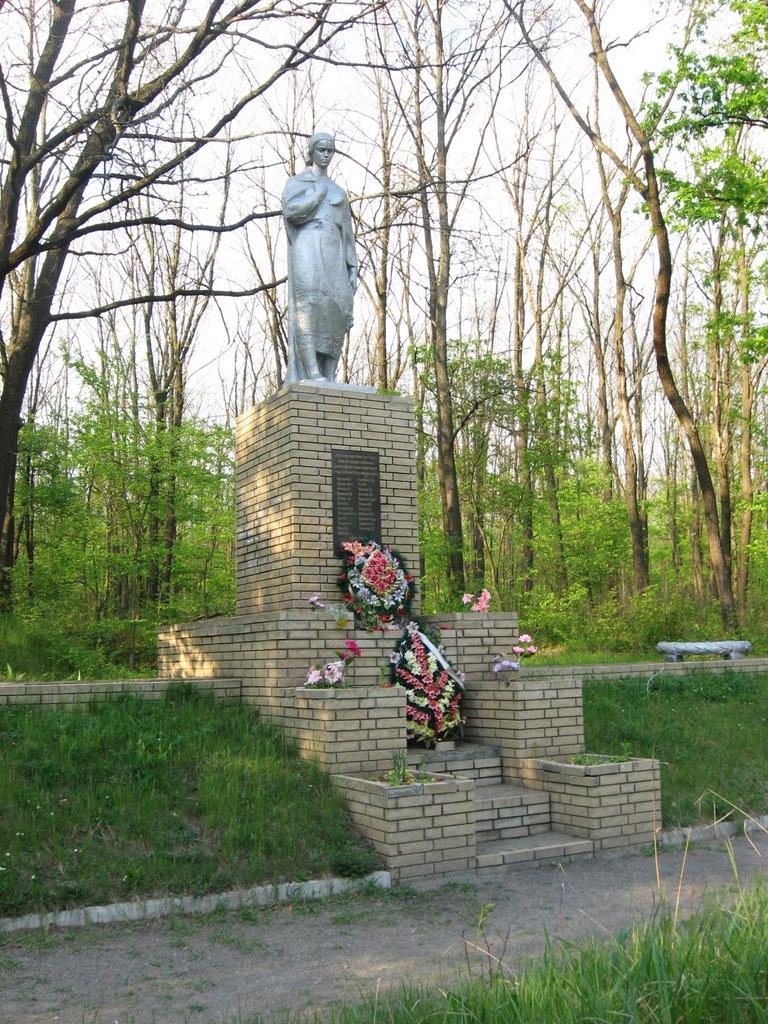 Подвірки з panoramio.com - Подвірки