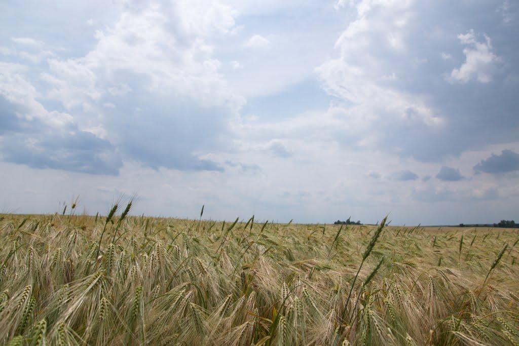 Фусів з panoramio.com - Фусів