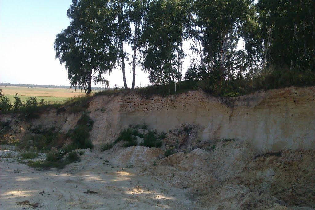 Рихальське з panoramio.com - Рыхальское