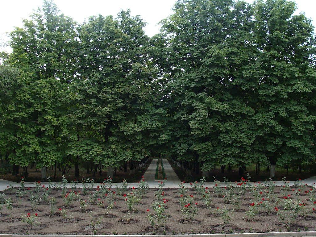 Наддніпрянське з panoramio.com - Наддніпрянське