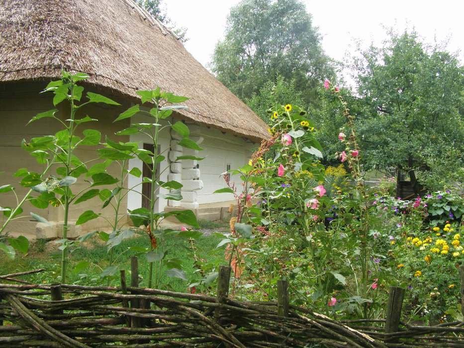 Шевченкове з panoramio.com - Шевченково