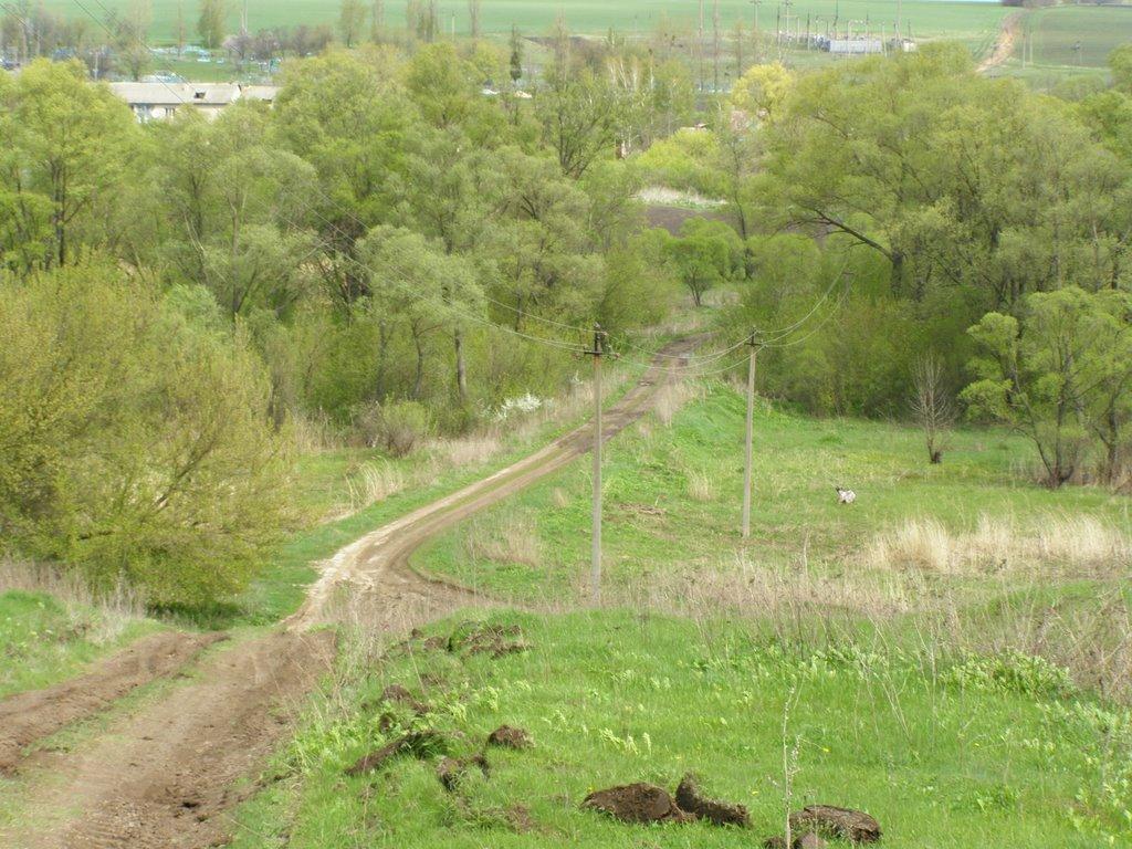 Берека з panoramio.com - Берека