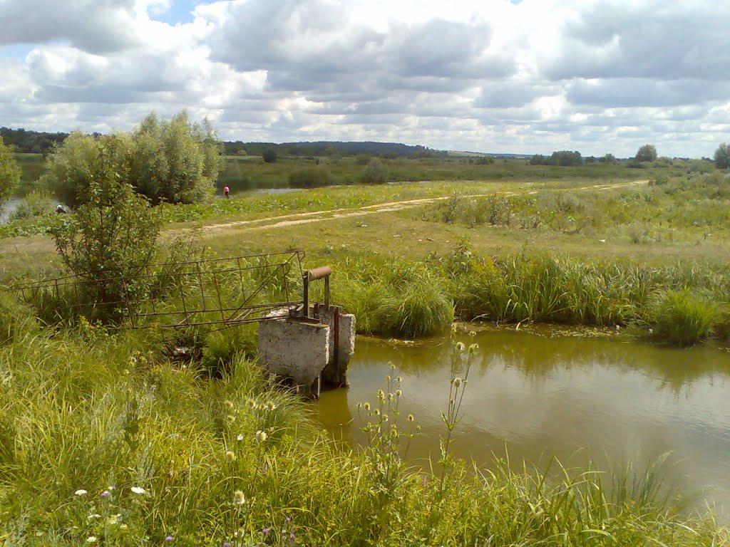 Митківці з panoramio.com - Mytkivtsi