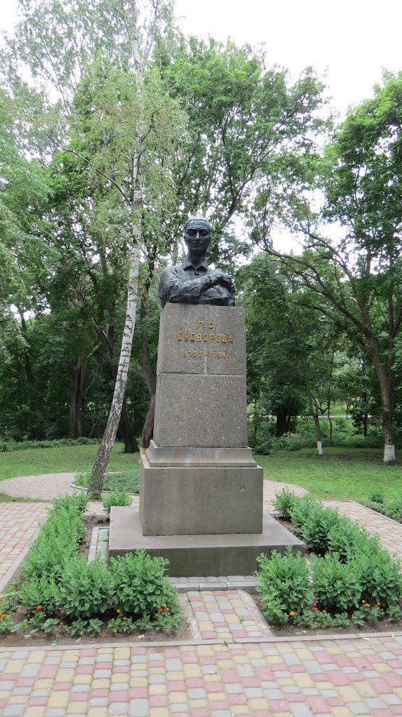 Сковородинівка з panoramio.com - Сковородинівка