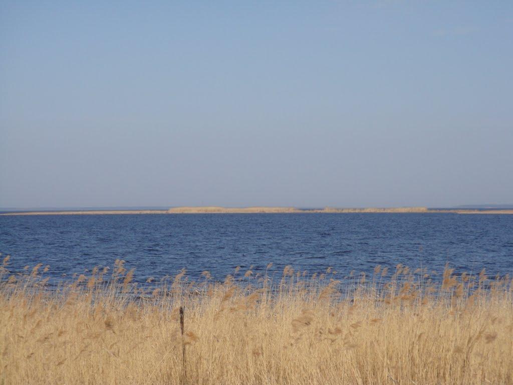 Лошакова Гута з panoramio.com - Лошакова Гута