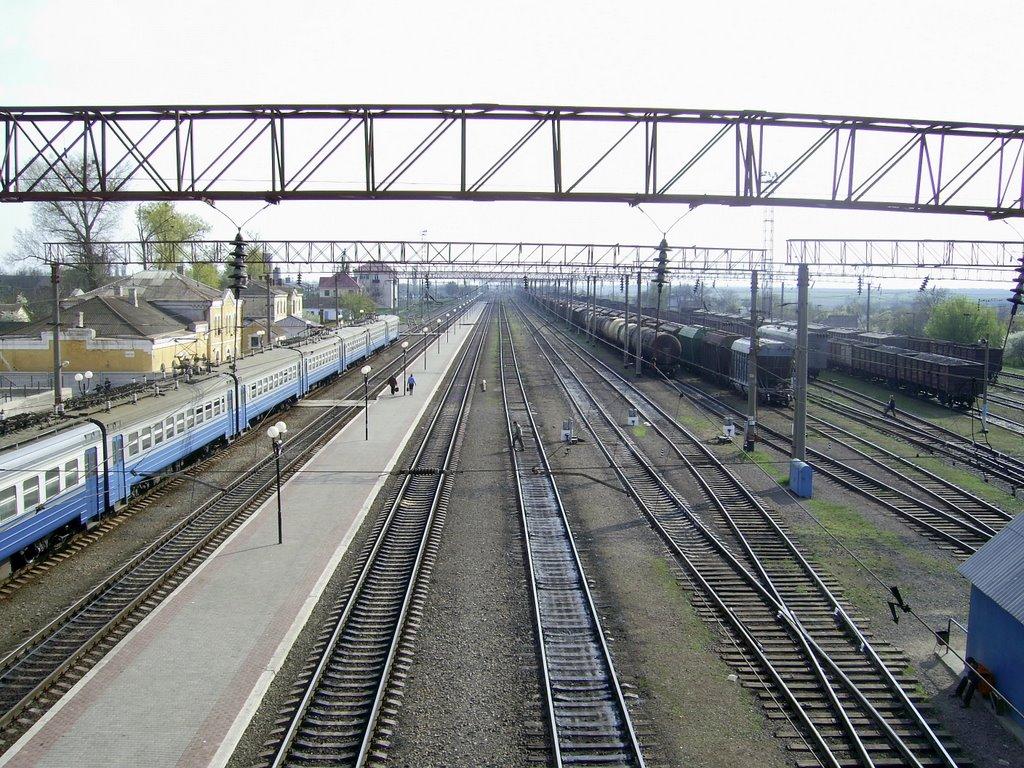 Кудрявцівка з panoramio.com - Кудрявцівка