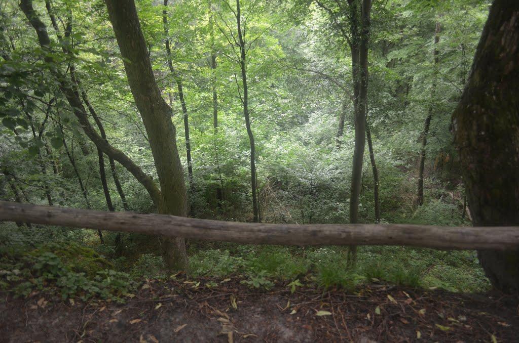 Козулька з panoramio.com - Козулька