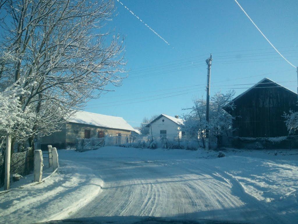 Саранчуки з panoramio.com - Саранчуки