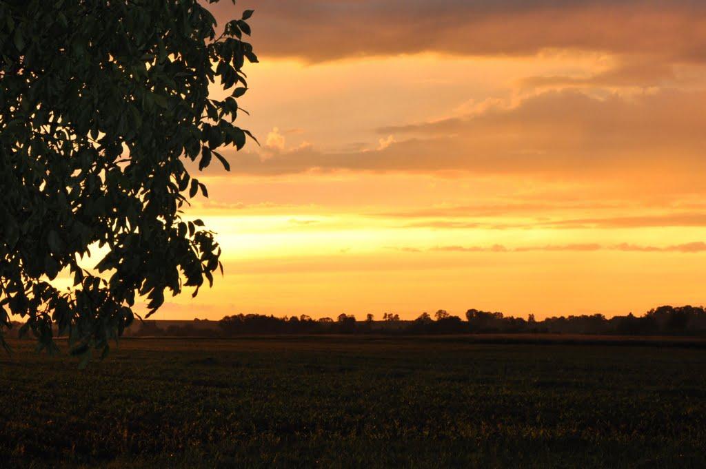 Биків з panoramio.com - Биків