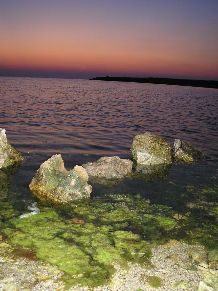 Новосільське з panoramio.com - Новосельское