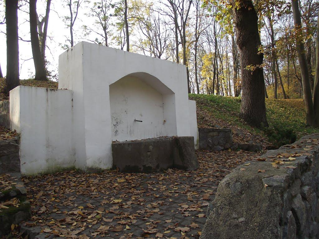 Глибочка з panoramio.com - Глибочка