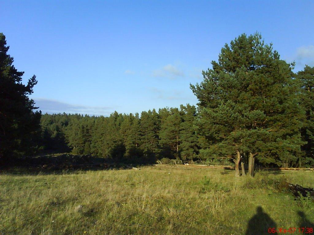 Лопушниця з panoramio.com - Лопушниця