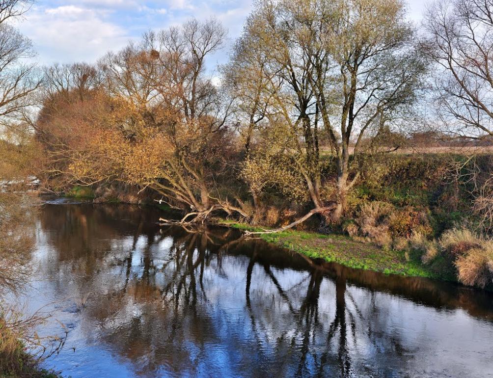 Стриганка з panoramio.com - Стриганка