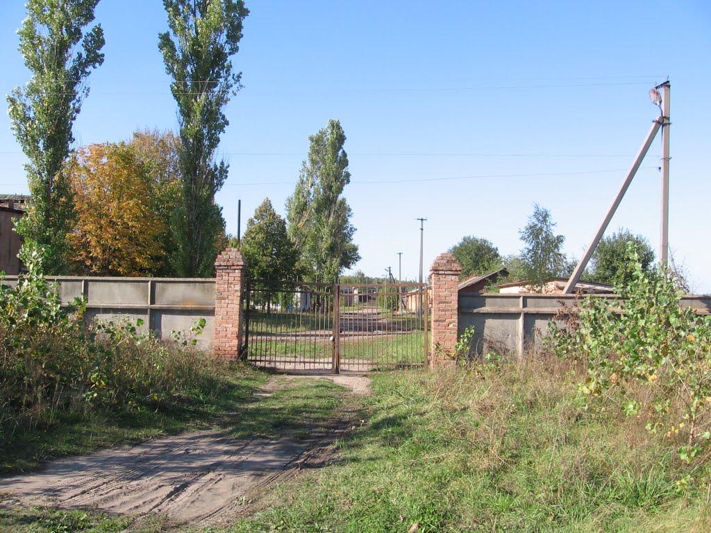 Чернігів з panoramio.com (ч.5) - Чернігів