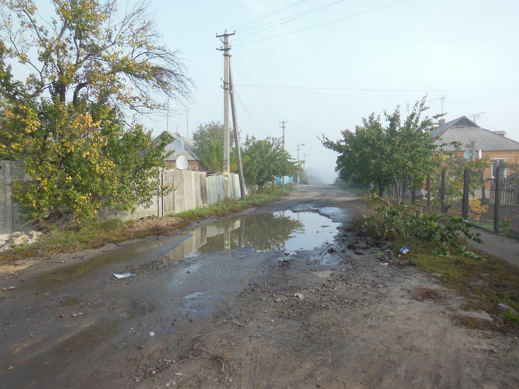 Старий Салтів з panoramio.com - Старий Салтів