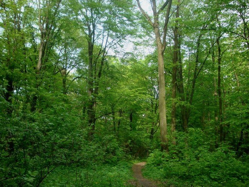Березне з panoramio.com - Березное