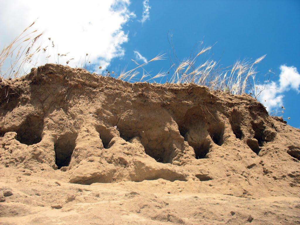 Щурове з panoramio.com - Schurove