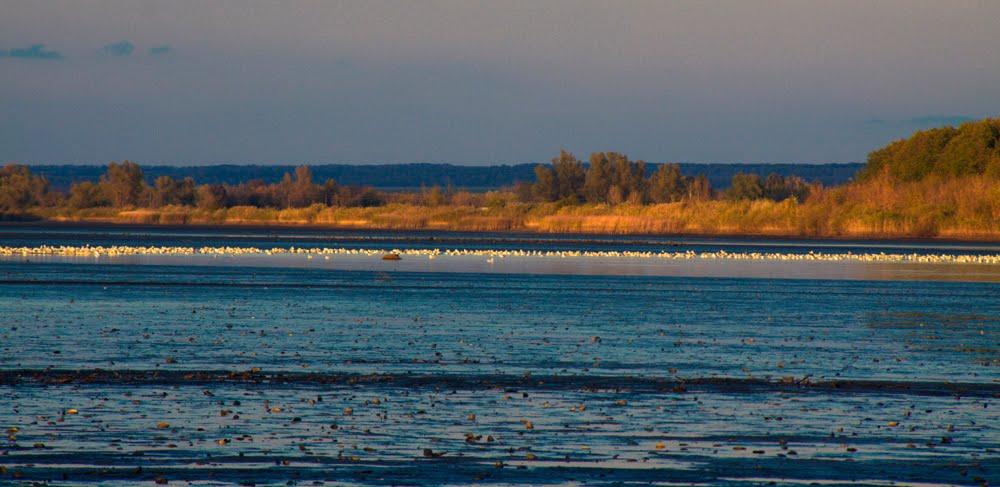 Ямполівка з panoramio.com - Ямполівка