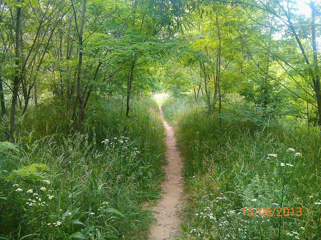 Подвірки з panoramio.com - Подвірки