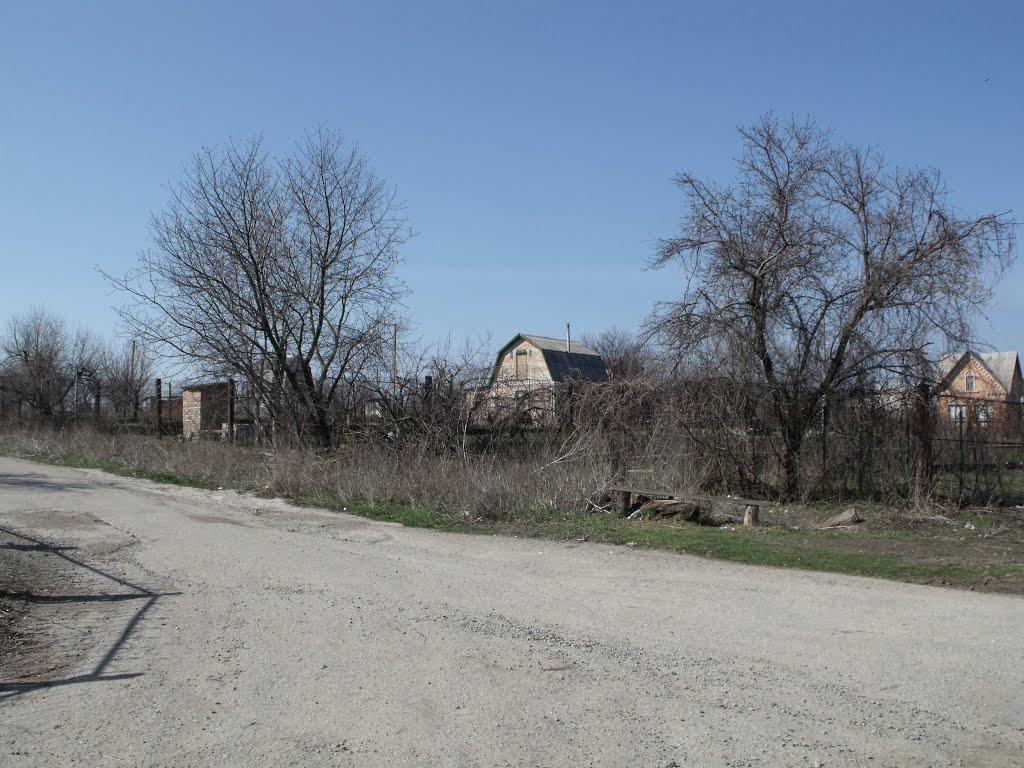 Вільноандріївка з panoramio.com