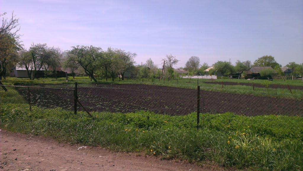 Новиця з panoramio.com - Новиця