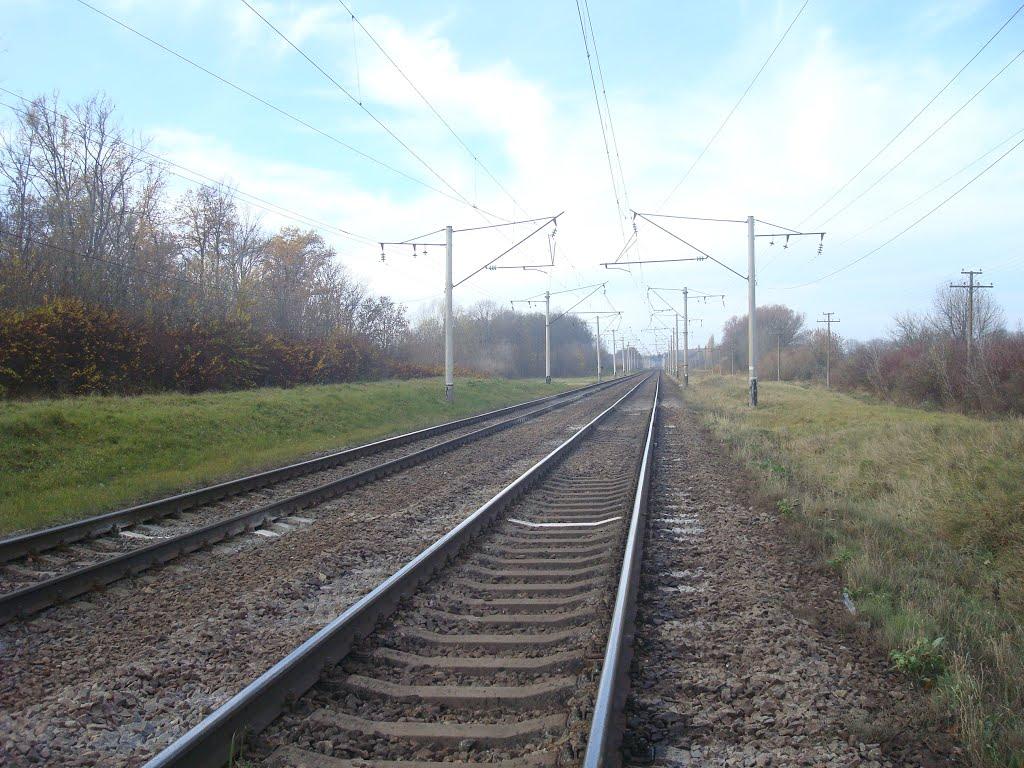 Грузевиця з panoramio.com - Грузевиця