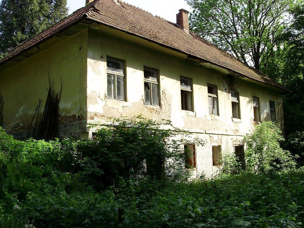 Черниця з panoramio.com - Черниця