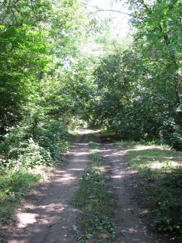 Жовтневе з panoramio.com - Жовтневое