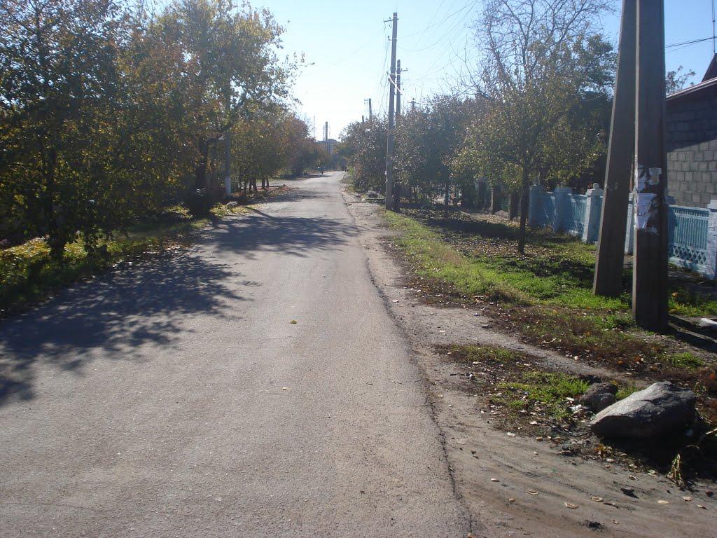 Вільне з panoramio.com - Вольное