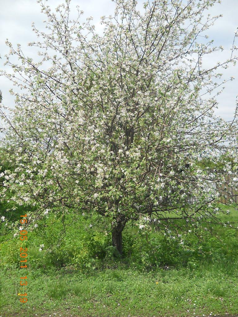 Крючки з panoramio.com - Крючки